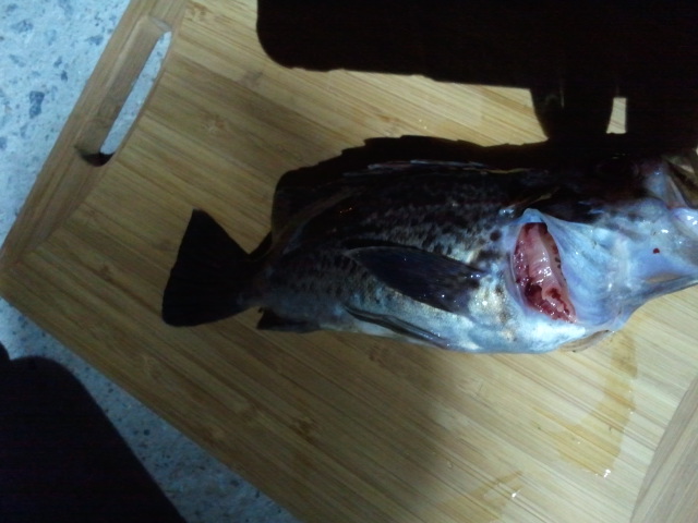 2011-10-01 02.50.01.jpg : 금요일 밤낚시 물고기들