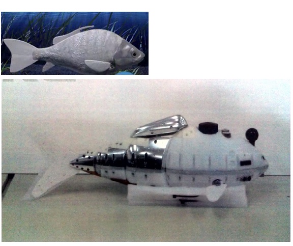2011002194.jpg : 헉.. 로봇물고기 아직도 만들고 있군요.