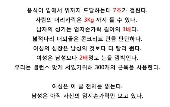 skat1322014548.jpg : 점심맛있게들 드셨나요?