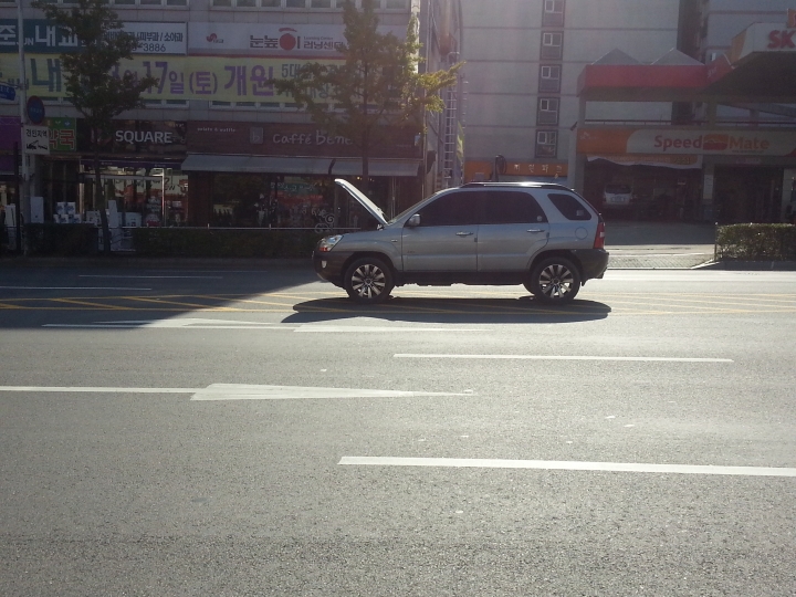 20131025_140656.jpg : 아호 거금 나가네요...