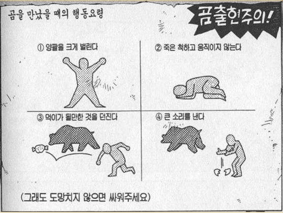 곰을 만났을때 행동요령.jpg : 야생에서 곰을 만났을때 행동요령